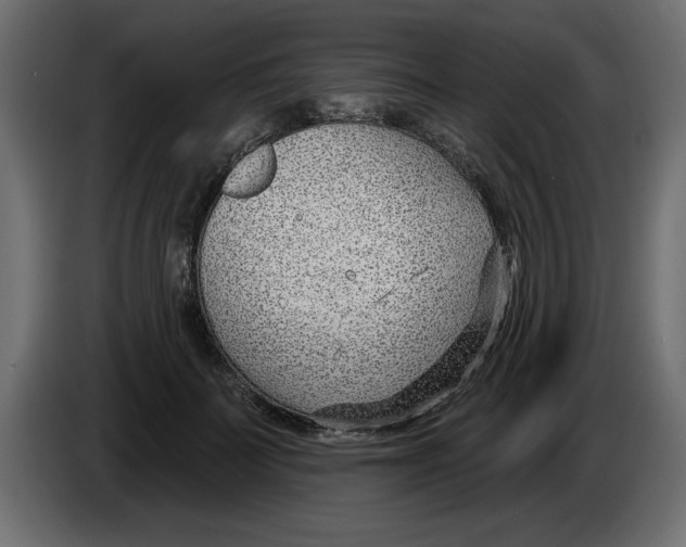 X0000082980699200703020257