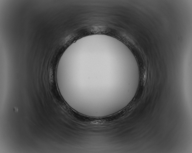 X0000082980700200703020257