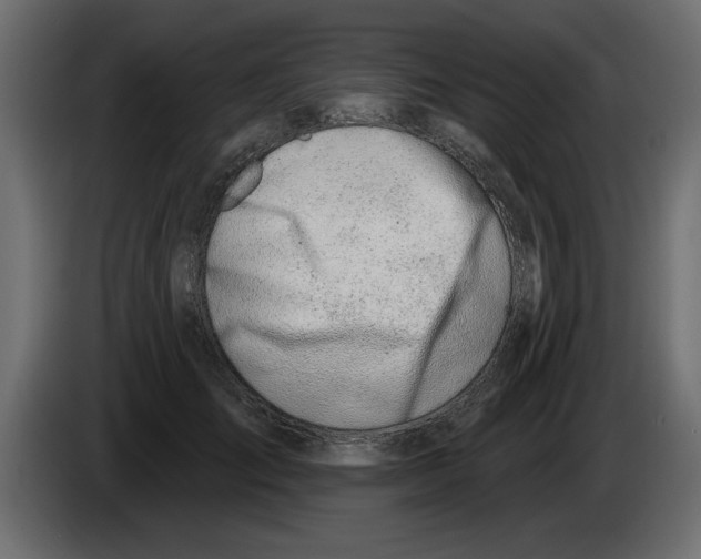 X0000082980701200703020257