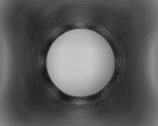 X0000082980702200703020257