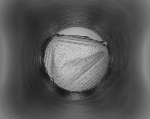 X0000082980703200703020257