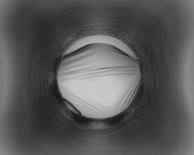 X0000082980704200703020257