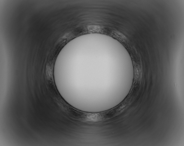 X0000082980705200703020257