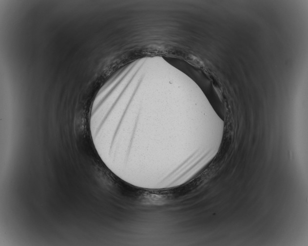 X0000082980706200703020257