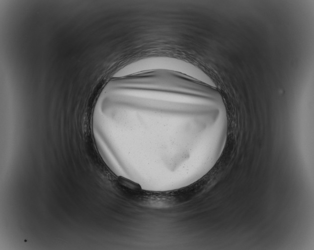 X0000082980708200703020257