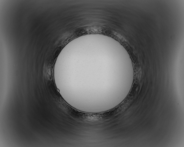 X0000082980709200703020257