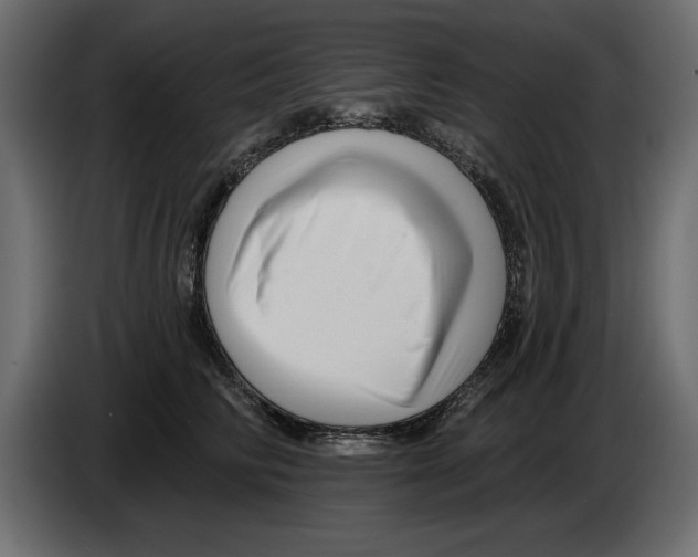 X0000082980710200703020257