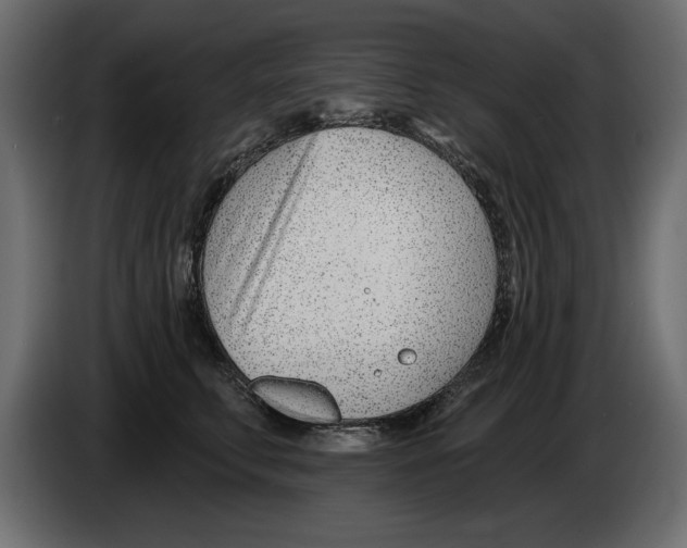 X0000082980711200703020257