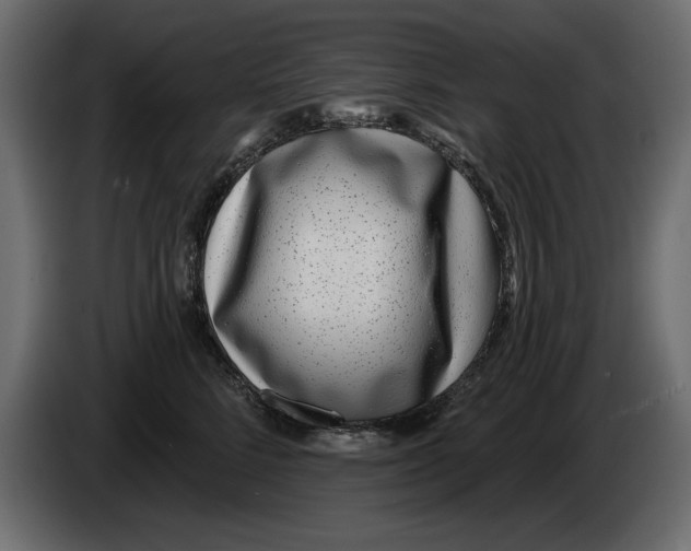 X0000082980712200703020257