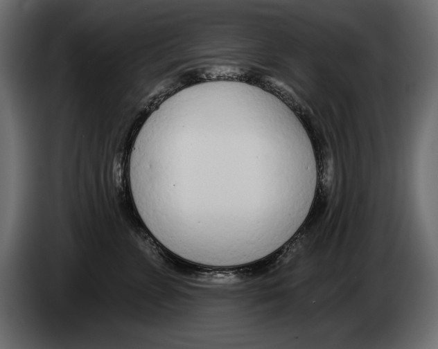 X0000082980715200703020257