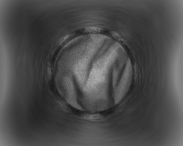 X0000082980716200703020257