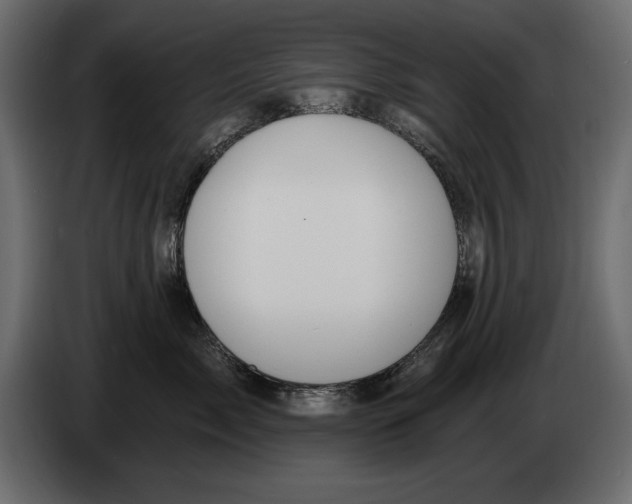 X0000082980717200703020257