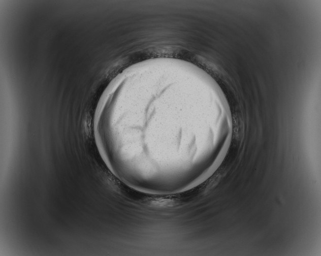 X0000082980718200703020257