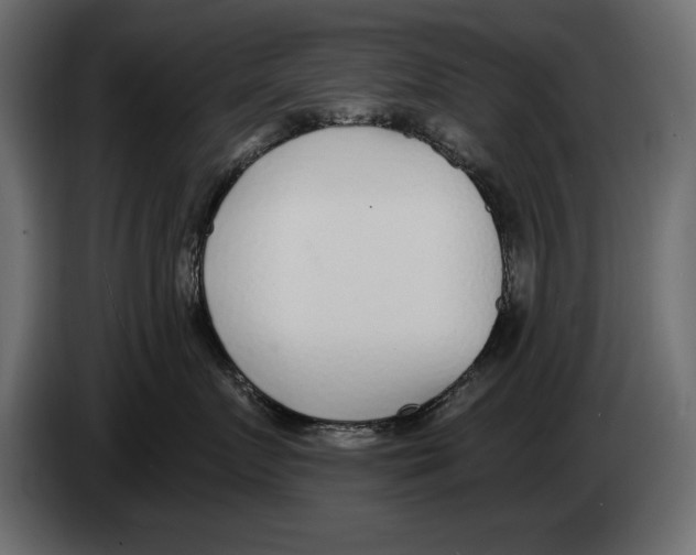 X0000082980719200703020257