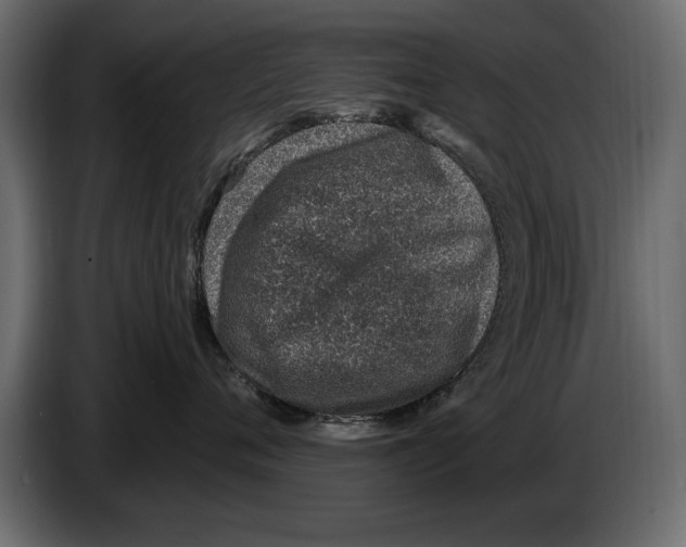 X0000082980720200703020257