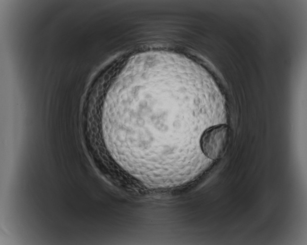 X0000082980721200703020256