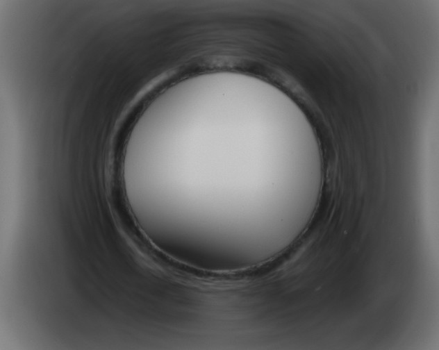 X0000082980722200703020256