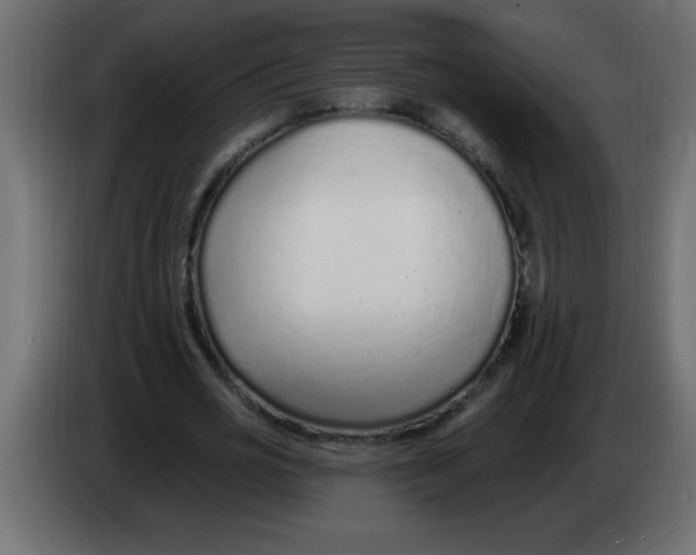 X0000082980725200703020256