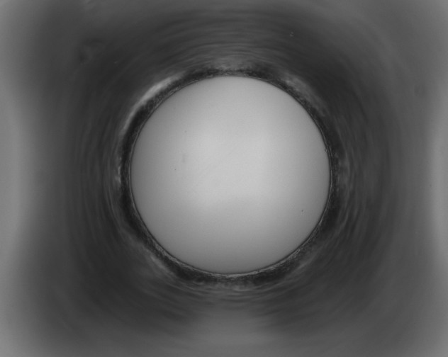 X0000082980727200703020256
