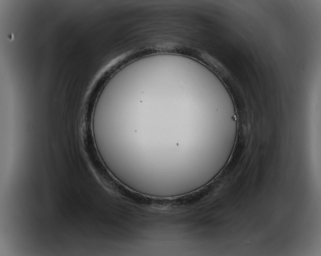 X0000082980728200703020256