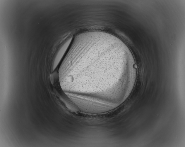 X0000082980729200703020256