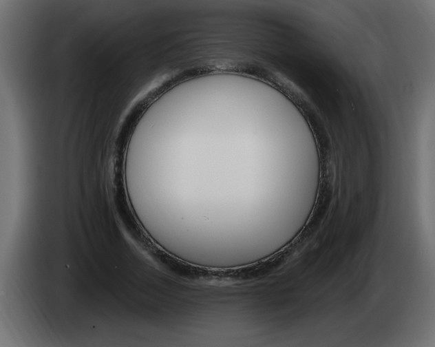 X0000082980730200703020256