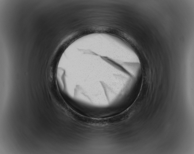 X0000082980731200703020256