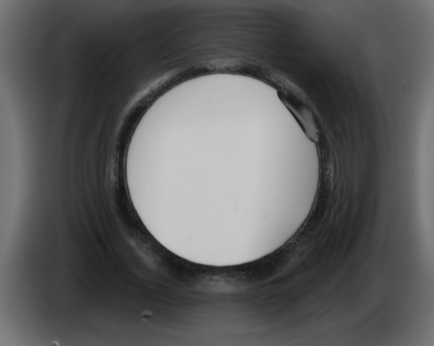 X0000082980732200703020256