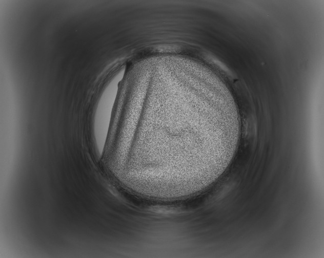 X0000082980733200703020256