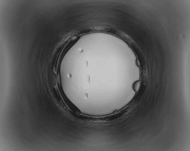 X0000082980734200703020256