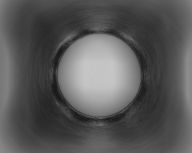 X0000082980735200703020256