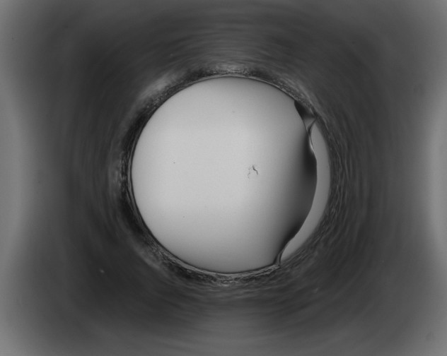 X0000082980736200703020256