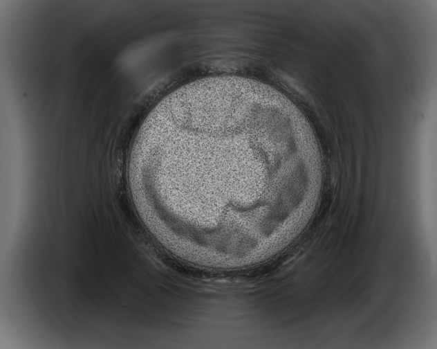 X0000082980737200703020256