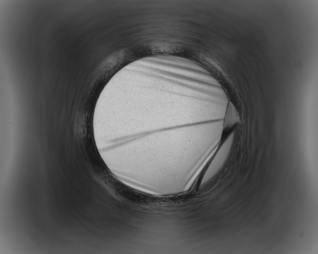 X0000082980738200703020256