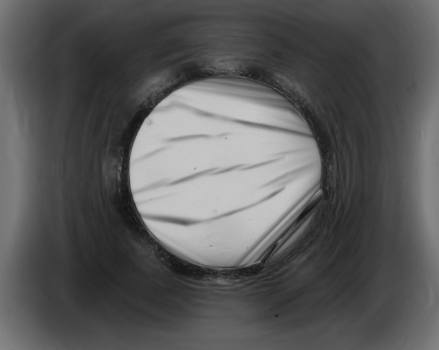 X0000082980739200703020256