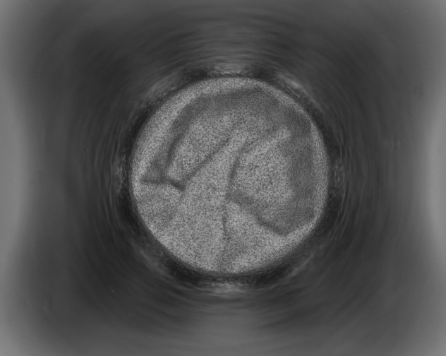 X0000082980741200703020256