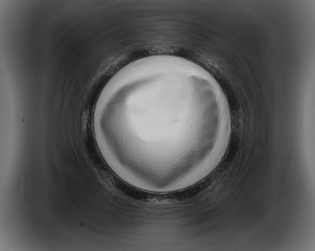 X0000082980742200703020256
