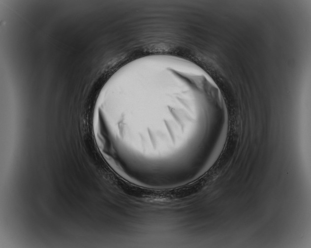X0000082980743200703020256