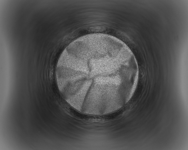 X0000082980745200703020256