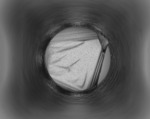 X0000082980746200703020256