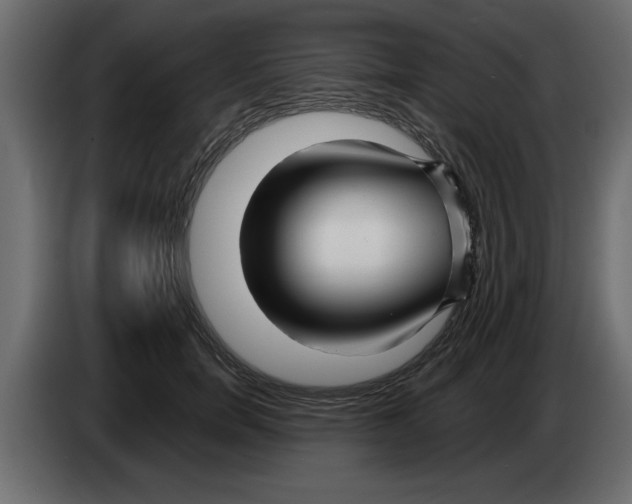 X0000082980750200703020256