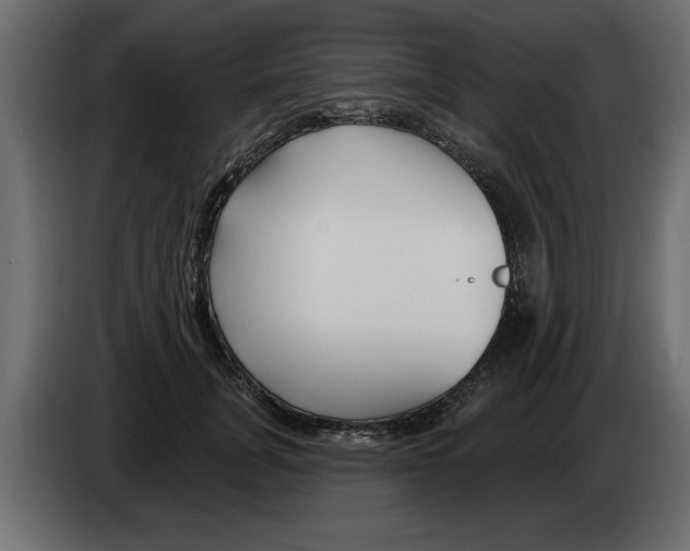 X0000082980751200703020256