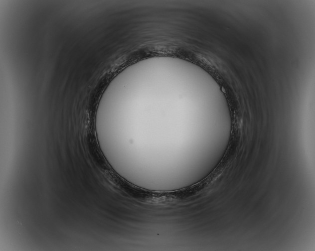 X0000082980752200703020256