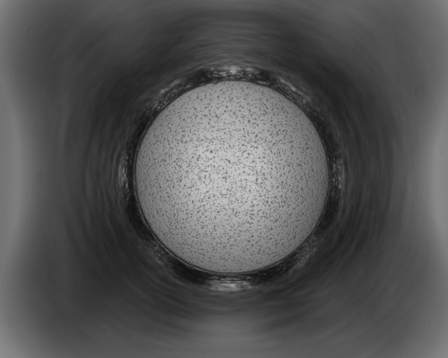X0000082980754200703020256