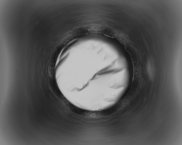 X0000082980755200703020256