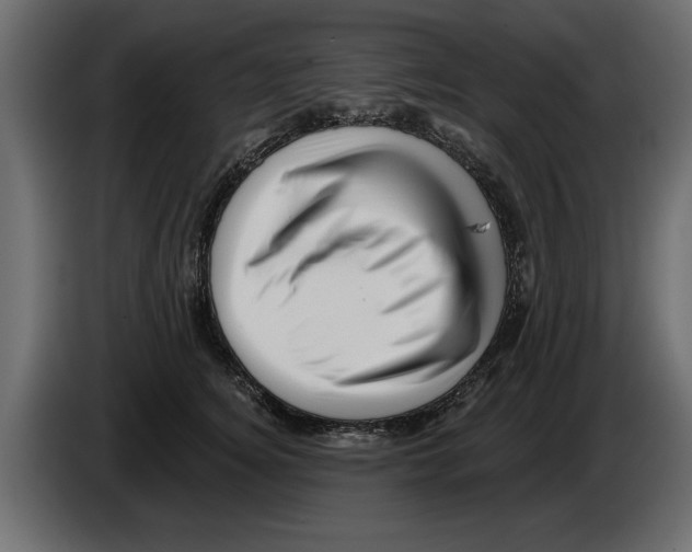 X0000082980756200703020256