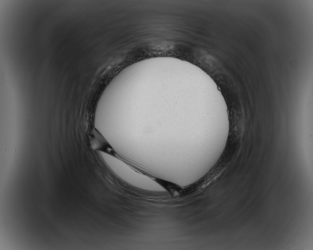 X0000082980758200703020256