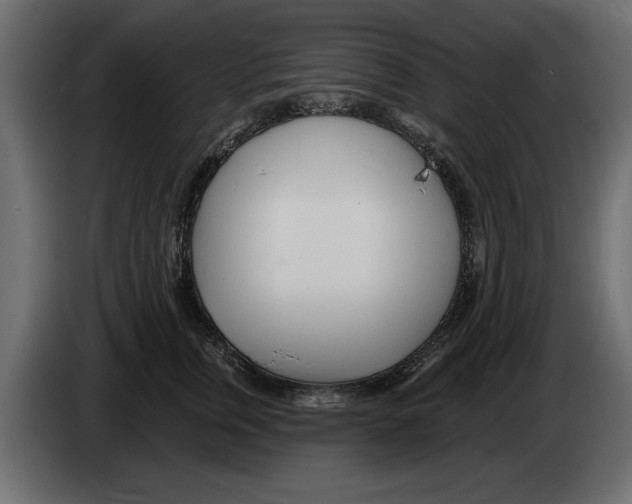 X0000082980759200703020256
