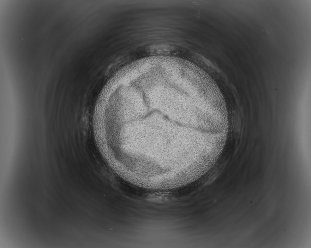 X0000082980761200703020256