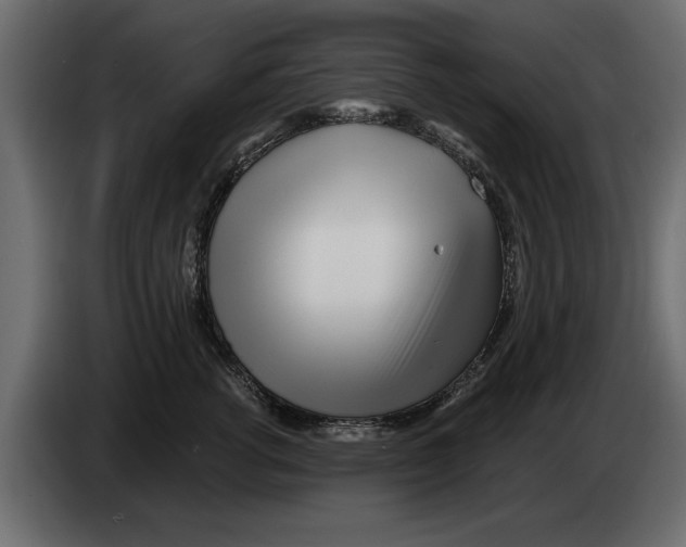 X0000082980762200703020256